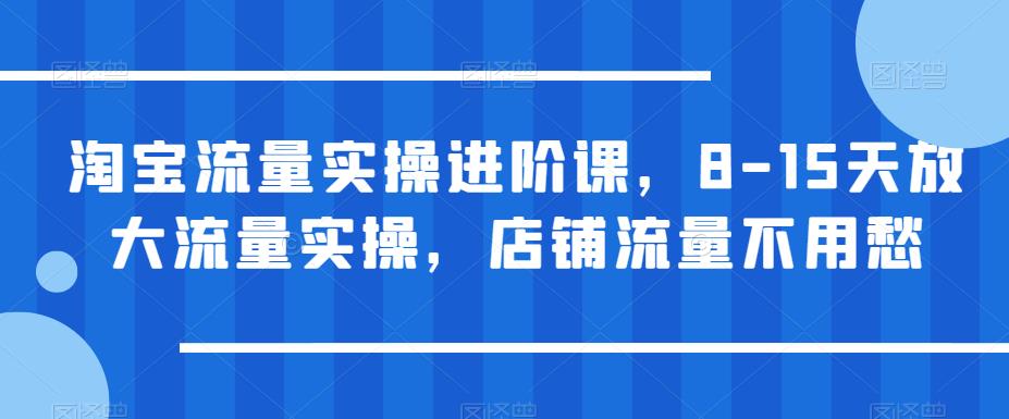 淘宝流量实操进阶课，8-15天放大流量实操，店铺流量不用愁网创吧-网创项目资源站-副业项目-创业项目-搞钱项目网创吧