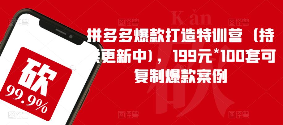 拼多多爆款打造特训营（持续更新中)，199元*100套可复制爆款案例网创吧-网创项目资源站-副业项目-创业项目-搞钱项目网创吧