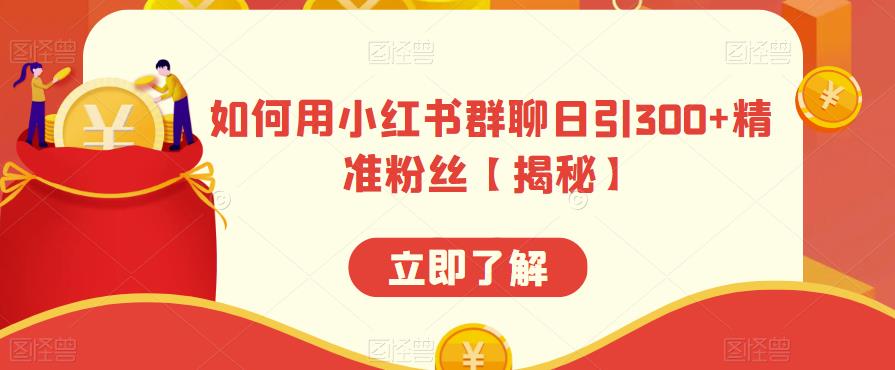 如何用小红书群聊日引300+精准粉丝【揭秘】网创吧-网创项目资源站-副业项目-创业项目-搞钱项目网创吧