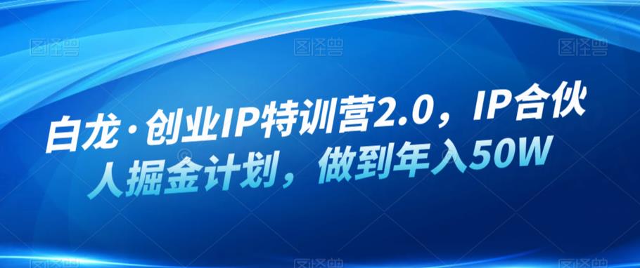 白龙·创业IP特训营2.0，IP合伙人掘金计划，做到年入50W网创吧-网创项目资源站-副业项目-创业项目-搞钱项目网创吧