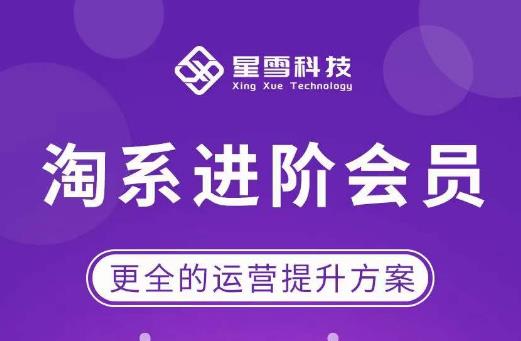 星雪·淘系进阶课程，快速提升突破技能流量瓶颈必备（更新2023年5月）网创吧-网创项目资源站-副业项目-创业项目-搞钱项目网创吧