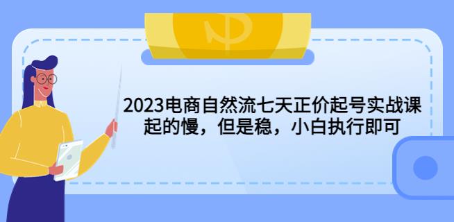 2023电商自然流七天正价起号实战课：起的慢，但是稳，小白执行即可！网创吧-网创项目资源站-副业项目-创业项目-搞钱项目网创吧