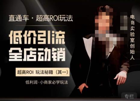 电商冰可乐·直通车·《低价引流·全店动销》，直通车·超高ROI玩法（其一）全店动销必学玩法网创吧-网创项目资源站-副业项目-创业项目-搞钱项目网创吧