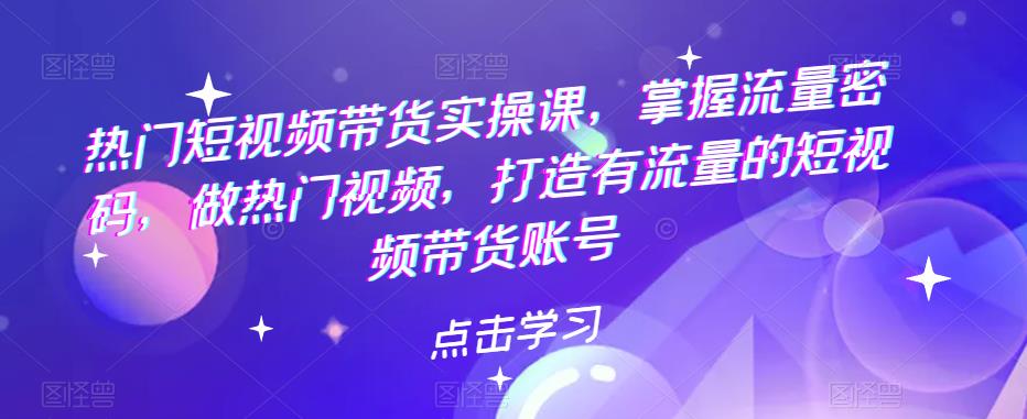 热门短视频带货实操课，掌握流量密码，做热门视频，打造有流量的短视频带货账号网创吧-网创项目资源站-副业项目-创业项目-搞钱项目网创吧