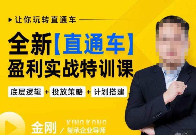 玺承·全新直通车盈利实战特训课,从底层逻辑详细拆解,从底层,策略到搭建,让你玩转直通车网创吧-网创项目资源站-副业项目-创业项目-搞钱项目网创吧