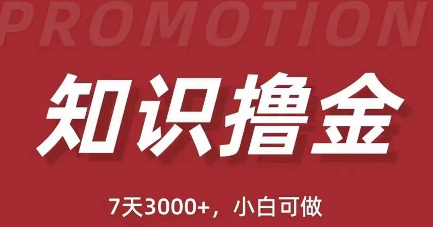 抖音知识撸金项目：简单粗暴日入1000+执行力强当天见收益(教程+资料)网创吧-网创项目资源站-副业项目-创业项目-搞钱项目网创吧