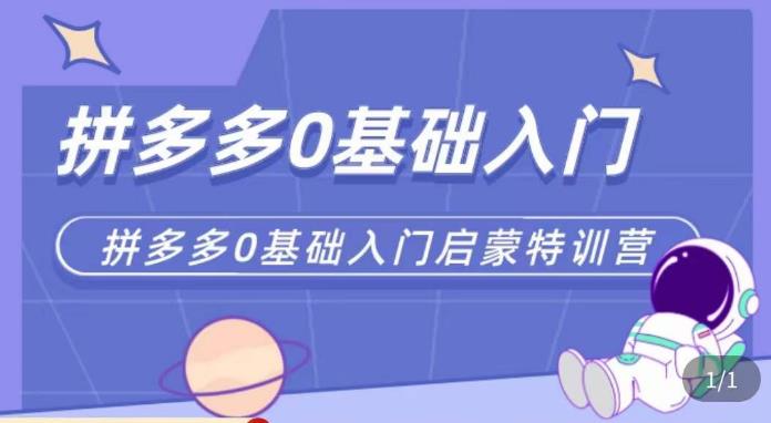 六一电商·拼多多运营0-1实操特训营，拼多多从基础到进阶的可实操玩法网创吧-网创项目资源站-副业项目-创业项目-搞钱项目网创吧