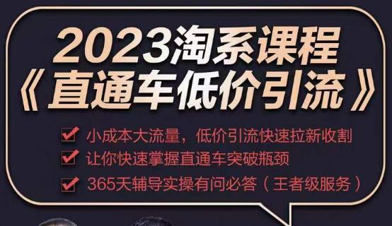 2023直通车低价引流玩法课程，小成本大流量，低价引流快速拉新收割，让你快速掌握直通车突破瓶颈网创吧-网创项目资源站-副业项目-创业项目-搞钱项目网创吧