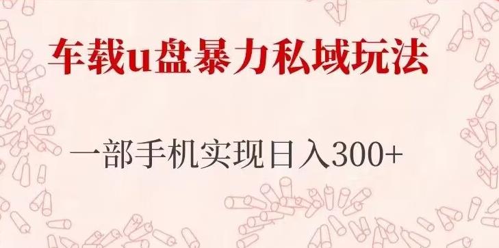 车载u盘暴力私域玩法，长期项目，仅需一部手机实现日入300+网创吧-网创项目资源站-副业项目-创业项目-搞钱项目网创吧