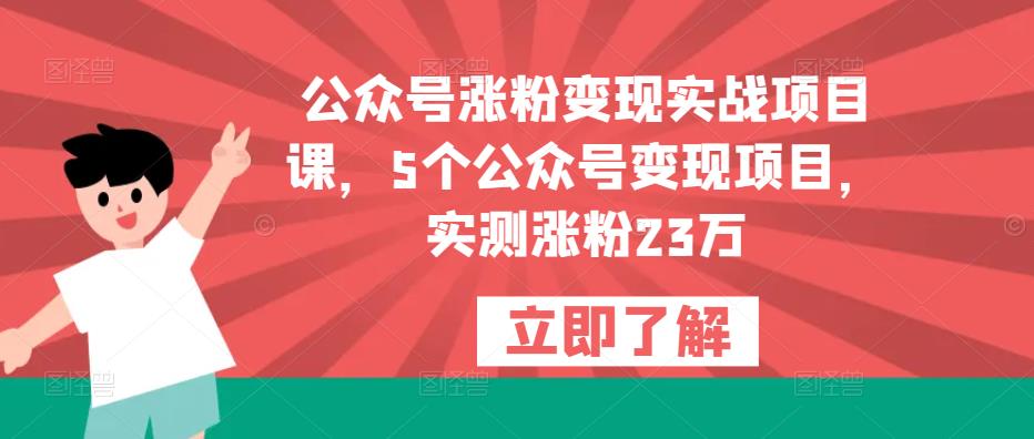 公众号涨粉变现实战项目课，5个公众号变现项目，实测涨粉23万网创吧-网创项目资源站-副业项目-创业项目-搞钱项目网创吧