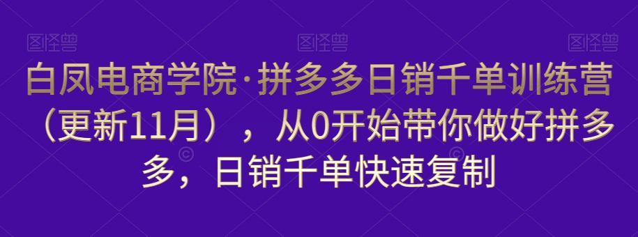 白凤电商学院·拼多多日销千单训练营，从0开始带你做好拼多多，日销千单快速复制（更新知2023年3月）网创吧-网创项目资源站-副业项目-创业项目-搞钱项目网创吧