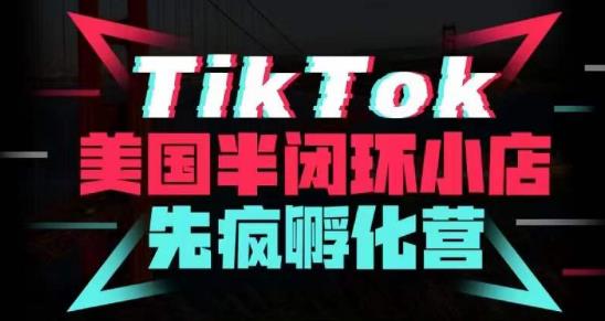 疯人院·TikTok美国半闭环小店孵化营，抢占TikTok美国蓝海市场，开店、运营、带货、投流全实操网创吧-网创项目资源站-副业项目-创业项目-搞钱项目网创吧