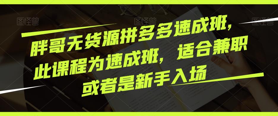 胖哥无货源拼多多速成班，此课程为速成班，适合兼职或者是新手入场网创吧-网创项目资源站-副业项目-创业项目-搞钱项目网创吧