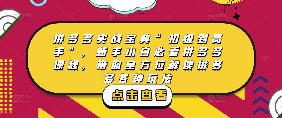 拼多多实战宝典“初级到高手”，新手小白必看拼多多课程，带你全方位解读拼多多各种玩法网创吧-网创项目资源站-副业项目-创业项目-搞钱项目网创吧