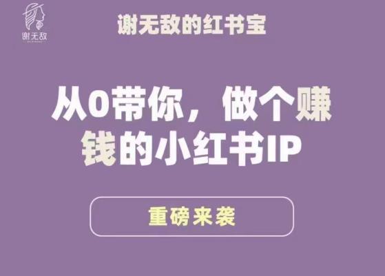 谢无敌·小红书运营大宝典，从0带你做个赚钱的小红书IP网创吧-网创项目资源站-副业项目-创业项目-搞钱项目网创吧