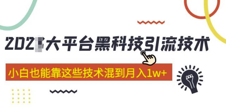 大平台黑科技引流技术，小白也能靠这些技术混到月入1w+(2022年的课程）网创吧-网创项目资源站-副业项目-创业项目-搞钱项目网创吧