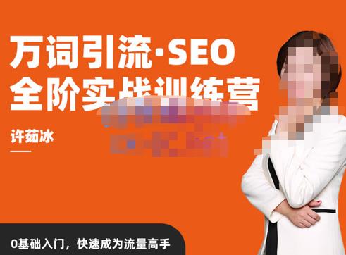 许茹冰·万词引流-SEO全阶实战训练营，0基础入门，快速成为流量高手网创吧-网创项目资源站-副业项目-创业项目-搞钱项目网创吧