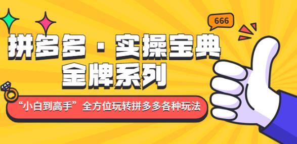 拼多多·实操宝典：金牌系列“小白到高手”带你全方位玩转拼多多各种玩法网创吧-网创项目资源站-副业项目-创业项目-搞钱项目网创吧