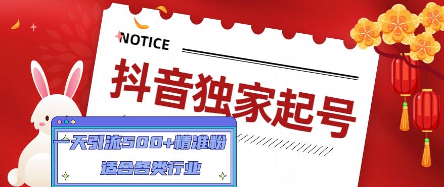 抖音独家起号，一天引流500+精准粉，适合各类行业（9节视频课）网创吧-网创项目资源站-副业项目-创业项目-搞钱项目网创吧
