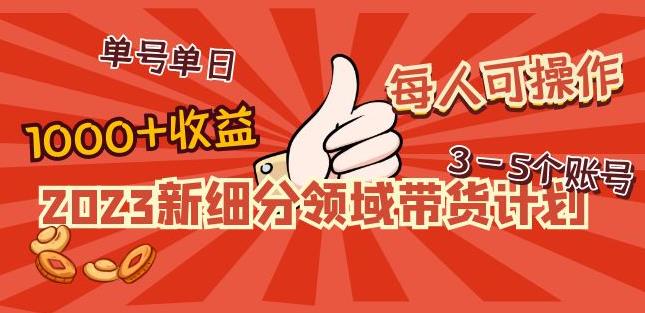 2023新细分领域带货计划：单号单日1000+收益不难，每人可操作3-5个账号网创吧-网创项目资源站-副业项目-创业项目-搞钱项目网创吧