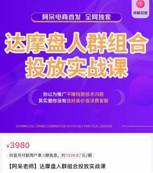 阿呆电商·达摩盘人群组合投放实战课，你以为推广不赚钱是技术问题，其实是你没有选好高价值消费客群网创吧-网创项目资源站-副业项目-创业项目-搞钱项目网创吧