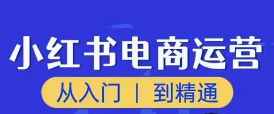 顽石小红书电商高阶运营课程，从入门到精通，玩法流程持续更新网创吧-网创项目资源站-副业项目-创业项目-搞钱项目网创吧