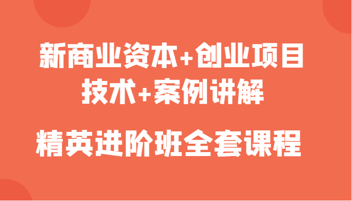 新商业资本+创业项目，技术+案例讲解，精英进阶班全套课程网创吧-网创项目资源站-副业项目-创业项目-搞钱项目网创吧