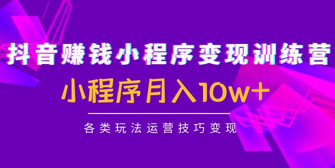抖音赚钱小程序变现训练营：小程序月入10w+各类玩法运营技巧变现网创吧-网创项目资源站-副业项目-创业项目-搞钱项目网创吧