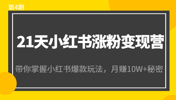 21天小红书涨粉变现营：带你掌握小红书爆款玩法，月赚10W+秘密网创吧-网创项目资源站-副业项目-创业项目-搞钱项目网创吧