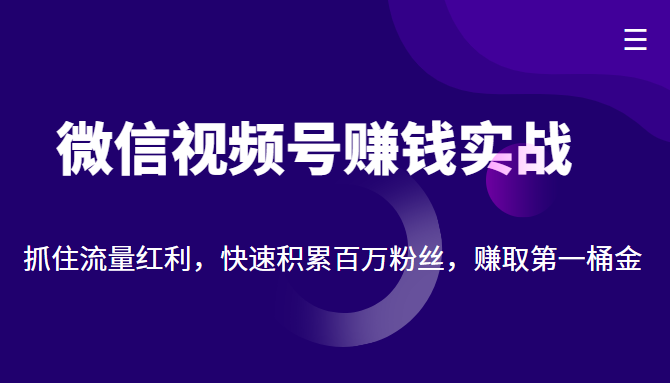 微信视频号赚钱实战：抓住流量红利，快速积累百万粉丝，赚取你的第一桶金网创吧-网创项目资源站-副业项目-创业项目-搞钱项目网创吧