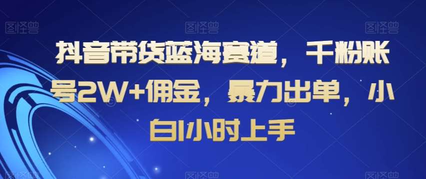 抖音带货蓝海赛道，千粉账号2W+佣金，暴力出单，小白1小时上手【揭秘】网创吧-网创项目资源站-副业项目-创业项目-搞钱项目网创吧