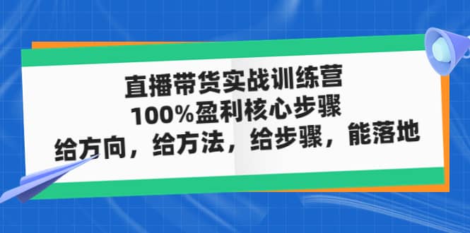 直播带货实战训练营：100%盈利核心步骤，给方向，给方法，给步骤，能落地网创吧-网创项目资源站-副业项目-创业项目-搞钱项目网创吧