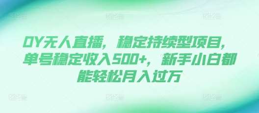 DY无人直播，稳定持续型项目，单号稳定收入500+，新手小白都能轻松月入过万【揭秘】网创吧-网创项目资源站-副业项目-创业项目-搞钱项目网创吧