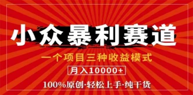（12756期）视频号最新爆火赛道，三种可收益模式，0粉新号条条原创条条热门 日入1000+网创吧-网创项目资源站-副业项目-创业项目-搞钱项目网创吧