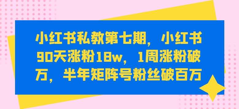 小红书私教第七期，小红书90天涨粉18w，1周涨粉破万，半年矩阵号粉丝破百万网创吧-网创项目资源站-副业项目-创业项目-搞钱项目网创吧
