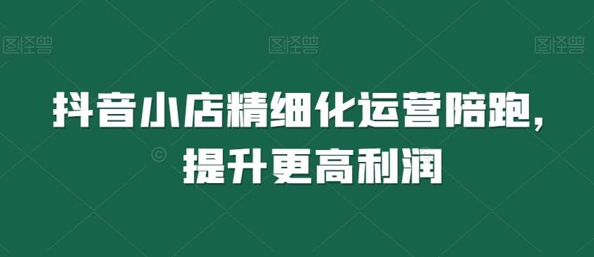 抖音小店精细化运营陪跑，提升更高利润网创吧-网创项目资源站-副业项目-创业项目-搞钱项目网创吧