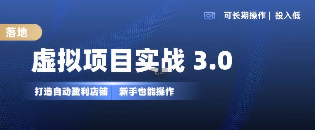 虚拟项目实战3.0，打造自动盈利店铺，可长期操作投入低，新手也能操作网创吧-网创项目资源站-副业项目-创业项目-搞钱项目网创吧