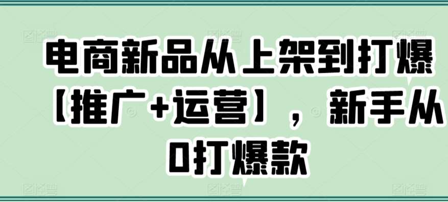 电商新品从上架到打爆【推广+运营】，新手从0打爆款网创吧-网创项目资源站-副业项目-创业项目-搞钱项目网创吧