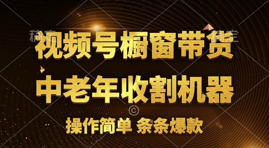 （11009期）[你的孩子成功取得高位]视频号最火爆赛道，橱窗带货，流量分成计划，条…网创吧-网创项目资源站-副业项目-创业项目-搞钱项目网创吧