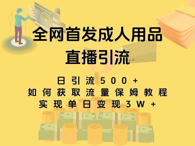 （8193期）最新全网独创首发，成人用品直播引流获客暴力玩法，单日变现3w保姆级教程网创吧-网创项目资源站-副业项目-创业项目-搞钱项目网创吧