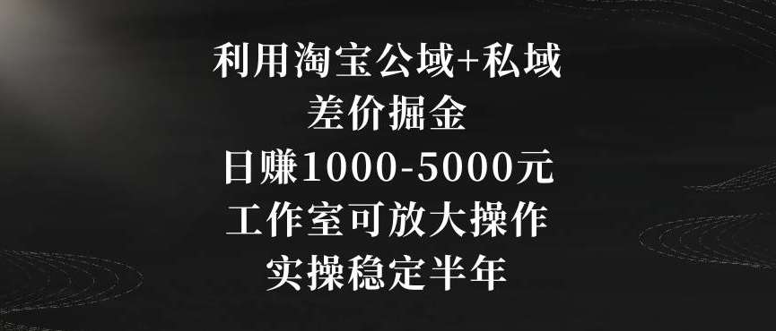 利用淘宝公域+私域差价掘金，日赚1000-5000元，工作室可放大操作，实操稳定半年【揭秘】网创吧-网创项目资源站-副业项目-创业项目-搞钱项目网创吧