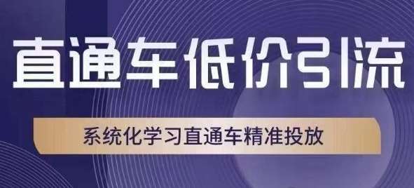 直通车低价引流课，系统化学习直通车精准投放网创吧-网创项目资源站-副业项目-创业项目-搞钱项目网创吧