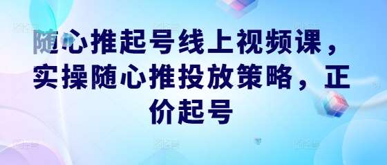 随心推起号线上视频课，实操随心推投放策略，正价起号网创吧-网创项目资源站-副业项目-创业项目-搞钱项目网创吧