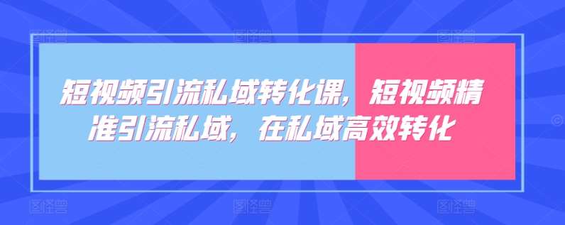 短视频引流私域转化课，短视频精准引流私域，在私域高效转化网创吧-网创项目资源站-副业项目-创业项目-搞钱项目网创吧