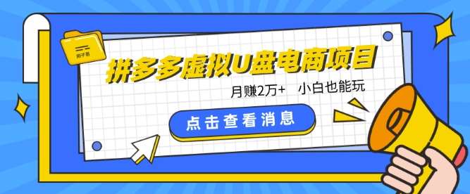 拼多多虚拟U盘电商红利项目：月赚2万+，新手小白也能玩网创吧-网创项目资源站-副业项目-创业项目-搞钱项目网创吧