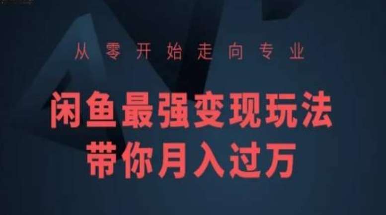 从零开始走向专业，闲鱼最强变现玩法带你月入过万网创吧-网创项目资源站-副业项目-创业项目-搞钱项目网创吧