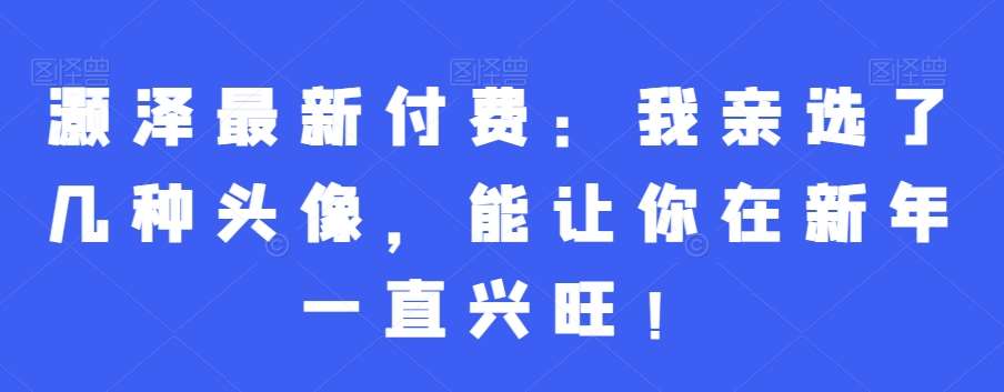 灏泽最新付费：我亲选了几种头像，能让你在新年一直兴旺！网创吧-网创项目资源站-副业项目-创业项目-搞钱项目网创吧