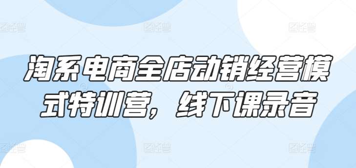 淘系电商全店动销经营模式特训营，线下课录音网创吧-网创项目资源站-副业项目-创业项目-搞钱项目网创吧