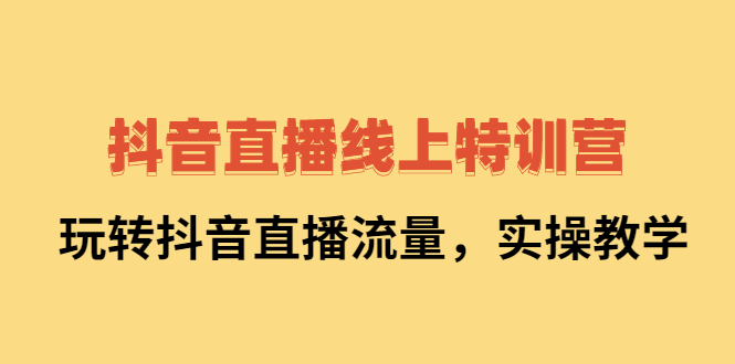 抖音直播线上特训营：玩转抖音直播流量，实操教学网创吧-网创项目资源站-副业项目-创业项目-搞钱项目网创吧