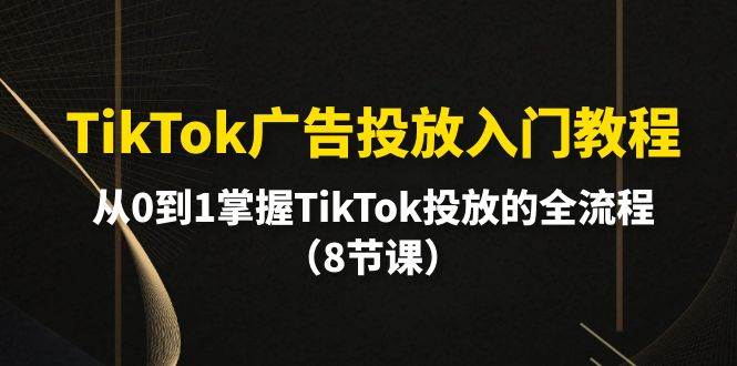 （10085期）TikTok广告投放入门教程，从0到1掌握TikTok投放的全流程（8节课）网创吧-网创项目资源站-副业项目-创业项目-搞钱项目网创吧